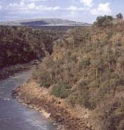 Stiegler's Gorge nennt man diese tief eingeschnittene Schlucht des Rufiji-Flusses