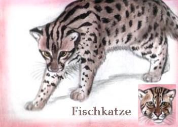Fischkatze (c) Sabrina 2002