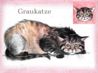 Graukatze (c) Sabrina 2002