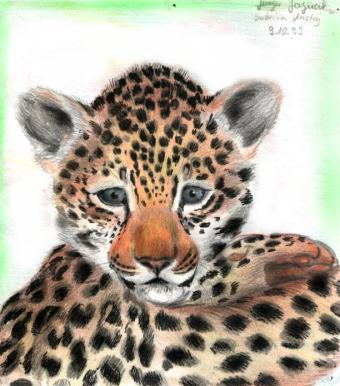 Jaguarbaby (c) Sabrina '99