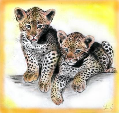 Leopardengeschwister (c) Sabrina '99