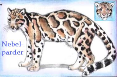 Nebelparder (c) Sabrina 2002