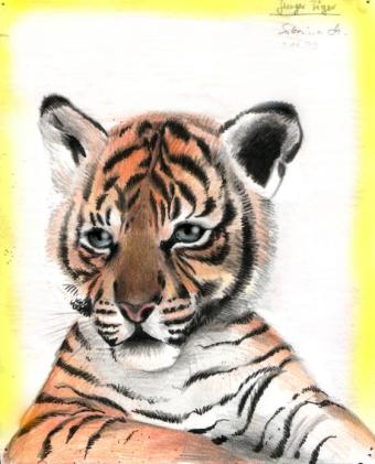 Tigerbaby (c) Sabrina '99