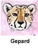 Gepard