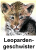 Leopardengeschwister