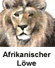 Afrikanischer Löwe