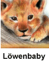 Löwenbaby