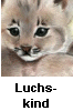 Luchsbaby