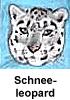 Schneeleopard