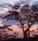 Bushveld Trees - Malcolm Funston