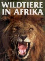 Wildtiere in Afrika - Karl Müller Verlag