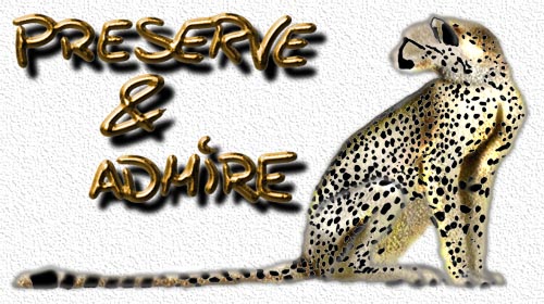 [preserve and admire]