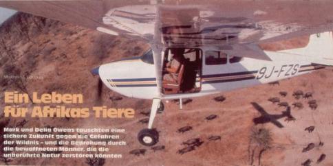 Im Flugzeug über dem Leben der Savanne