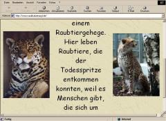 Asyl für Raubkatzen? Ja, Tierpflege hier in Deutschland