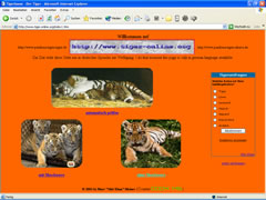 Tiger-Online mit Shir Khan
