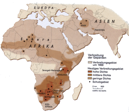 Verbreitung der Geparden in Afrika
