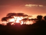 Sonnenuntergang über der Serengeti